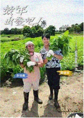 观众提问与解答场景